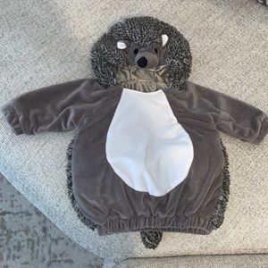 12M Hedgehog Halloween Costume